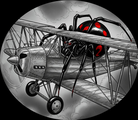 Black Widow Aviation